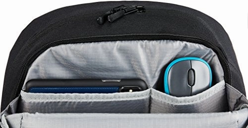 AmazonBasics Canvas Backpack for Laptops up to 15-Inches - Black