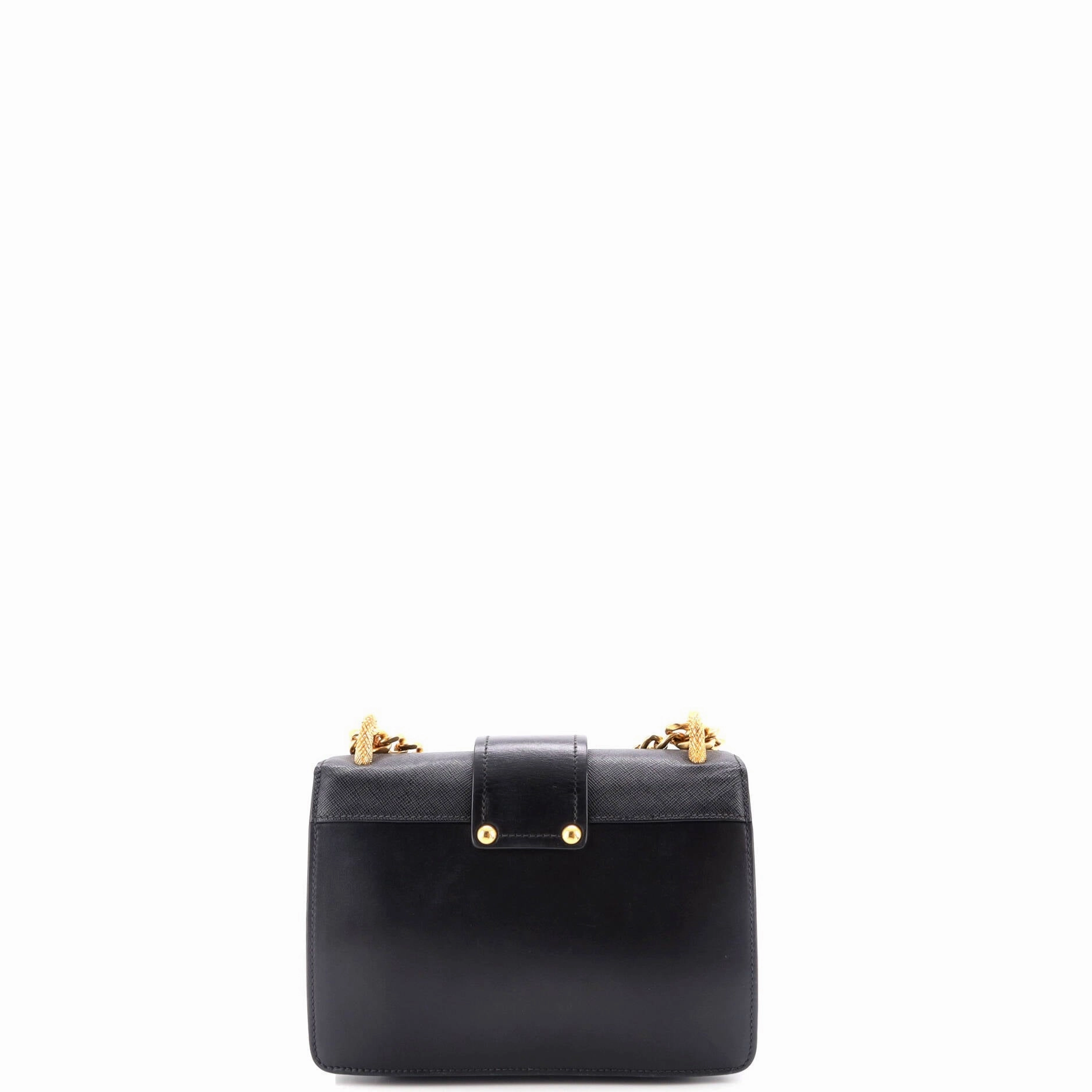 Animalier Cahier Crossbody Bag City Calf and Saffiano Small