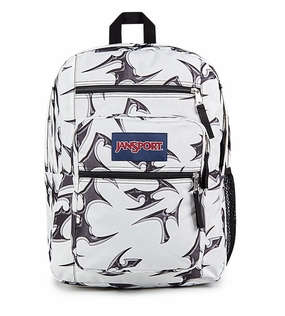 Big Student Backpack
