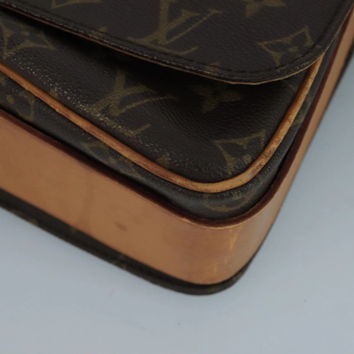 Cartouchiere Canvas Shoulder Bag