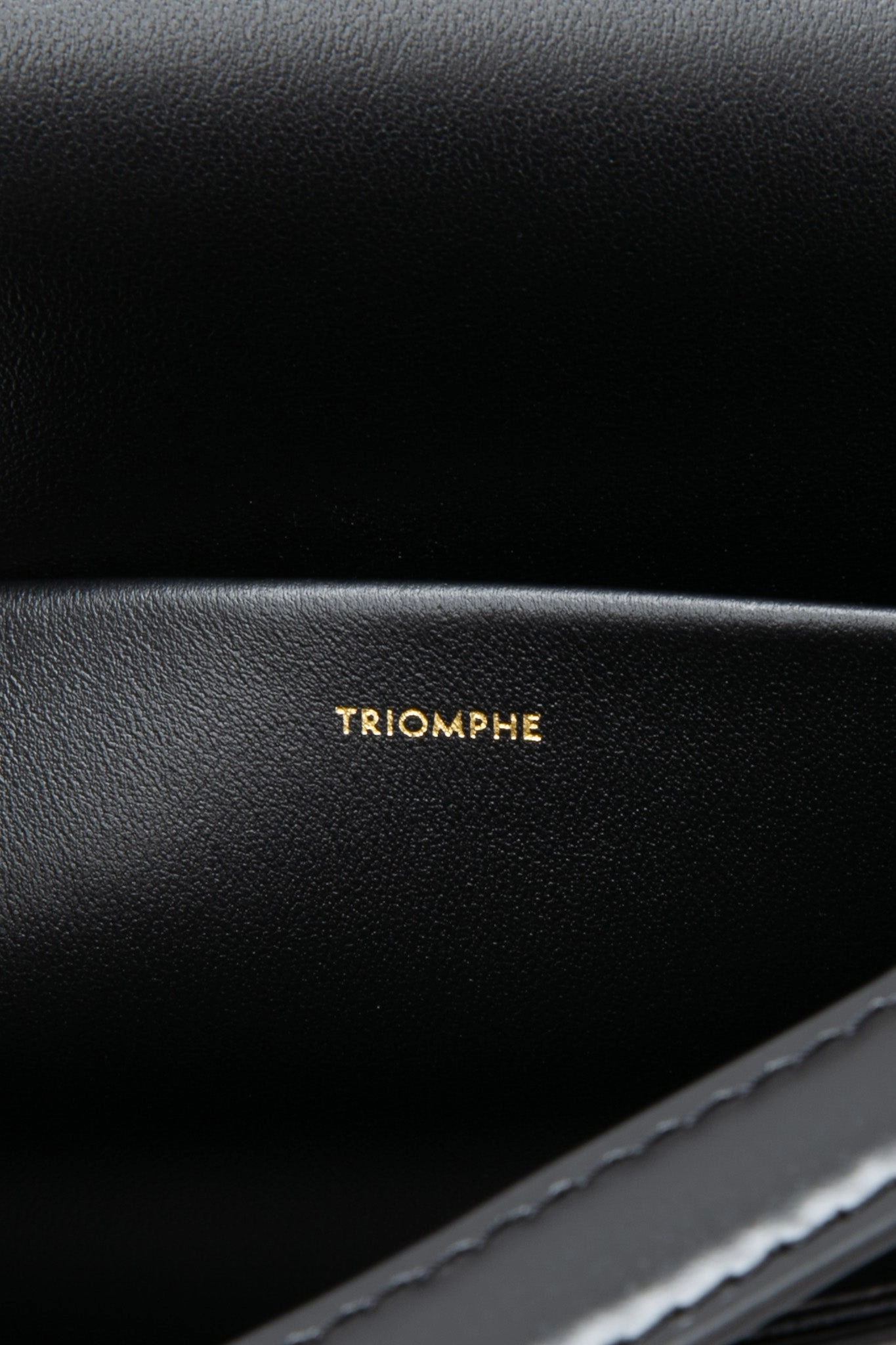 CELINE Black Shiny Calfskin Claude Triomphe Shoulder Bag (New)