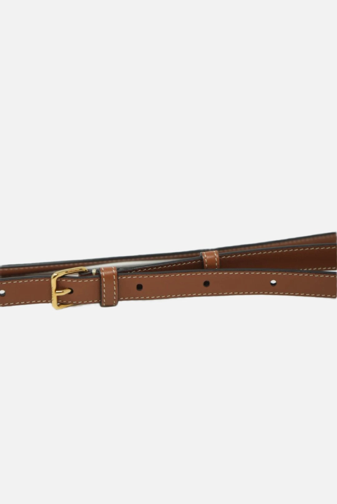 Celine Triomphe Round Crossbody