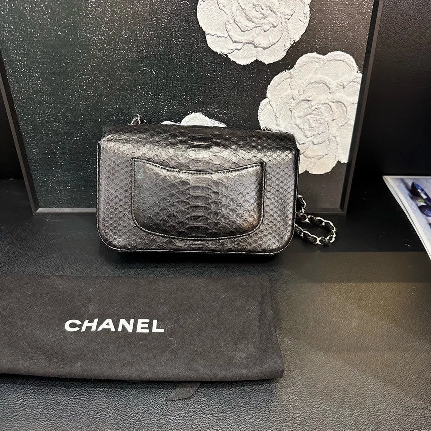 Chanel Black Snakeskin Large Mini Crossbody Bag