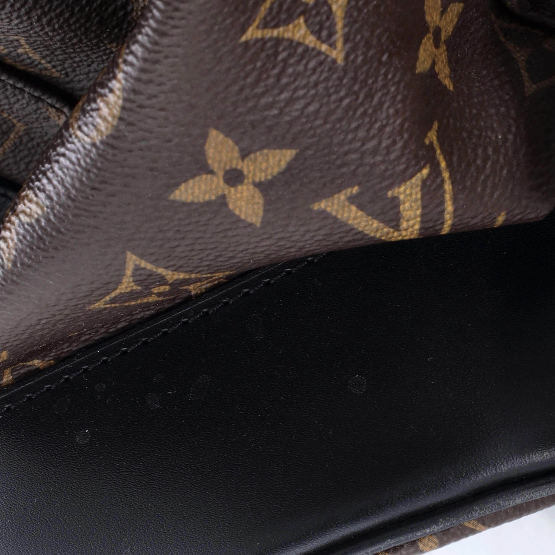 Christopher Backpack Macassar Monogram Canvas PM