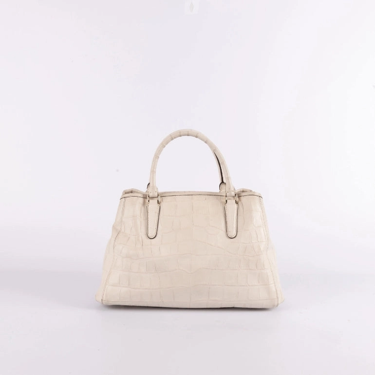 Coach Margot Carryall Crossbody Bag