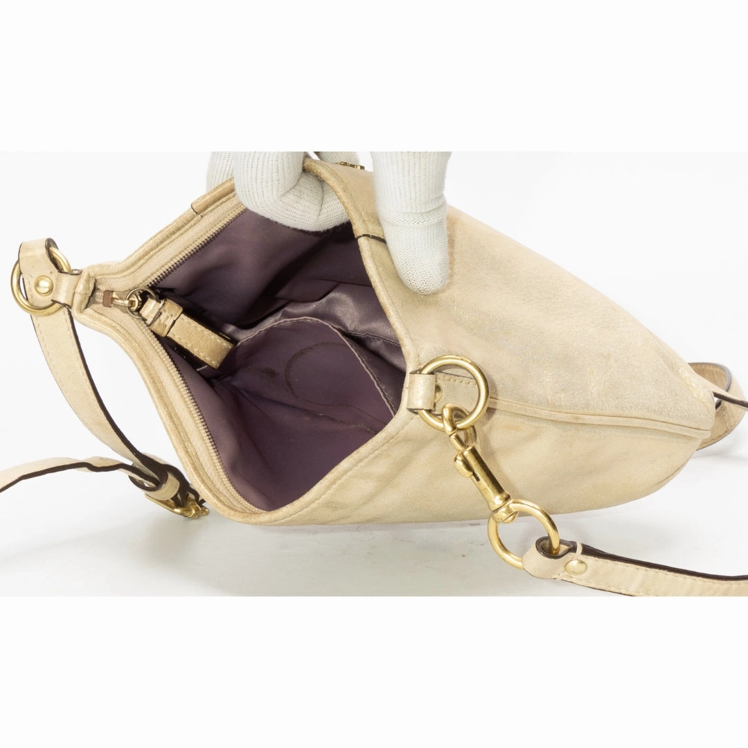 Coach Metallic Leather Crossbody Bag