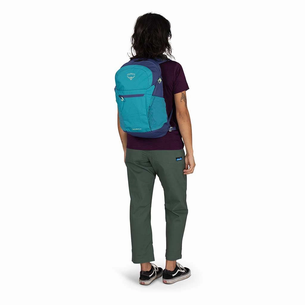 Daylite Plus