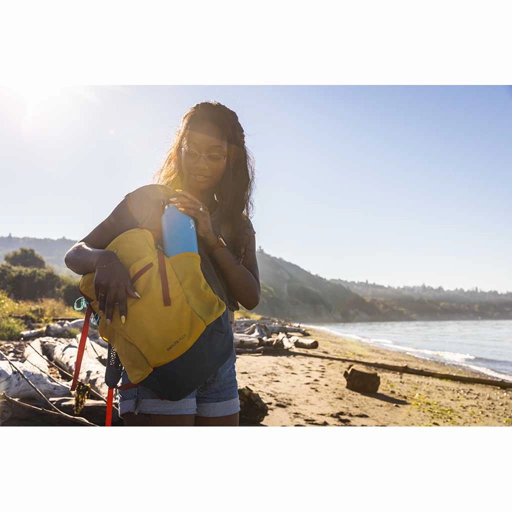 Daylite Plus