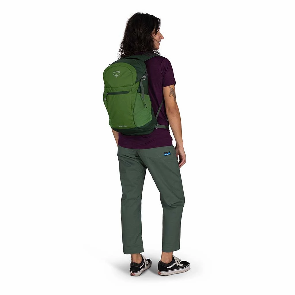 Daylite Plus
