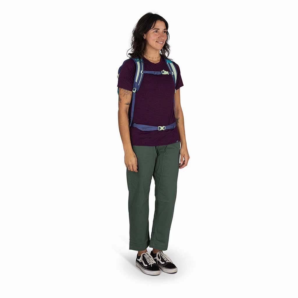 Daylite Plus