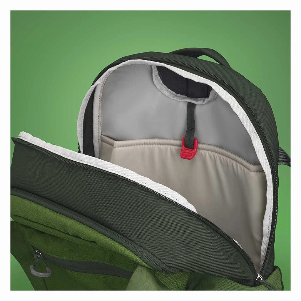 Daylite Plus
