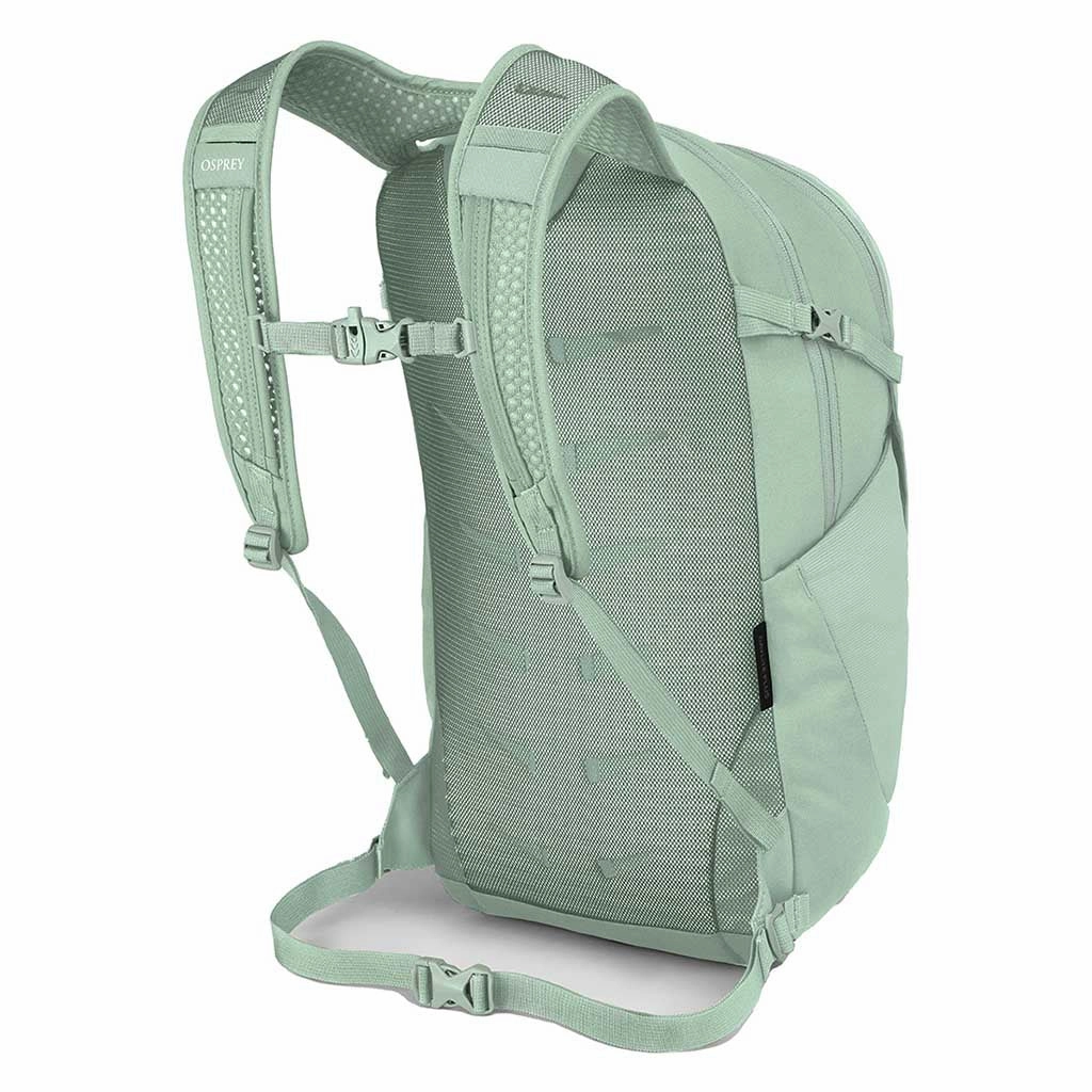 Daylite Plus