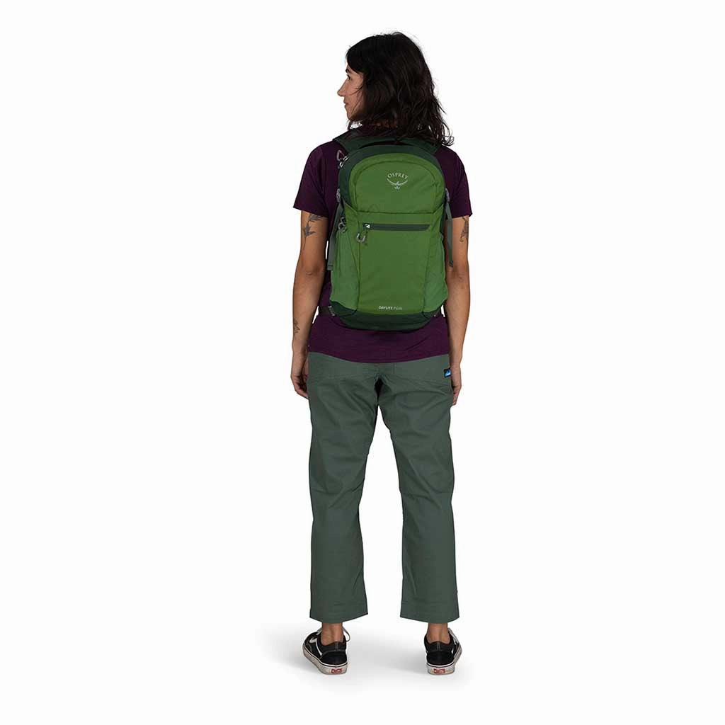 Daylite Plus