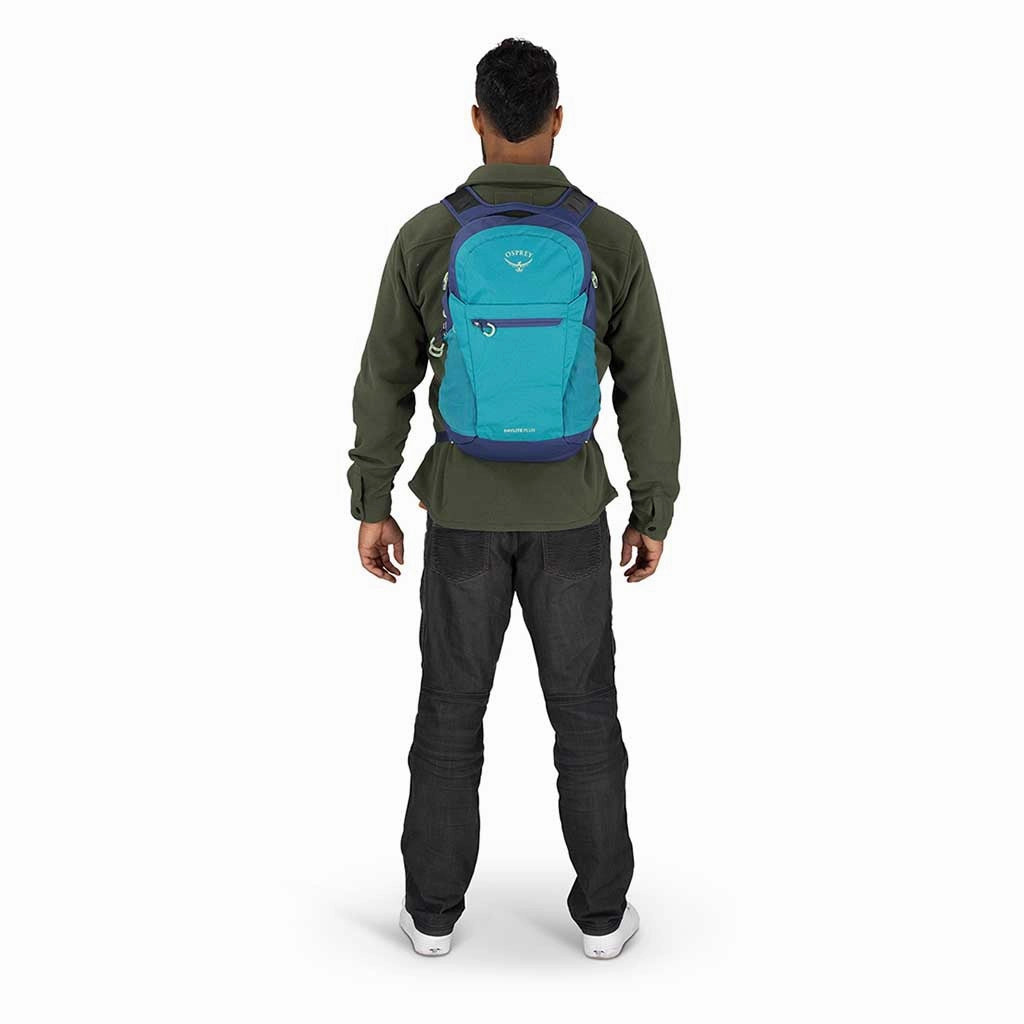 Daylite Plus