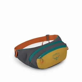 Daylite Waist