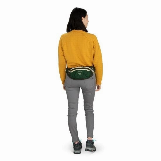 Daylite Waist