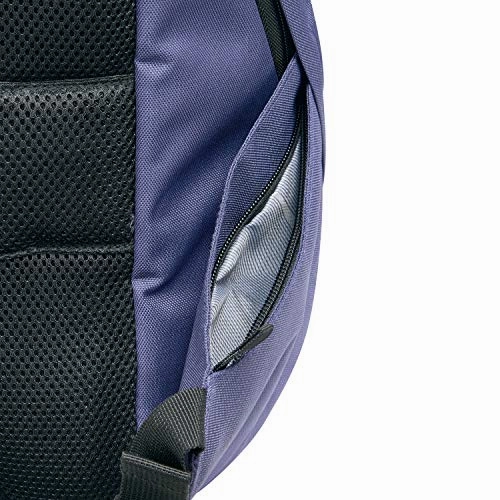 DELSEY Paris Securban Laptop Backpack, Blue, 13.3 Inch Sleeve