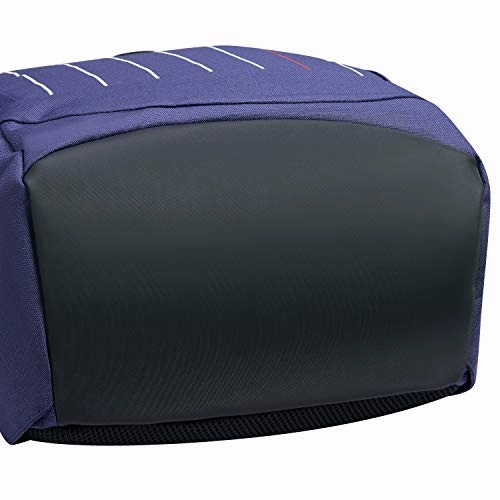 DELSEY Paris Securban Laptop Backpack, Blue, 13.3 Inch Sleeve