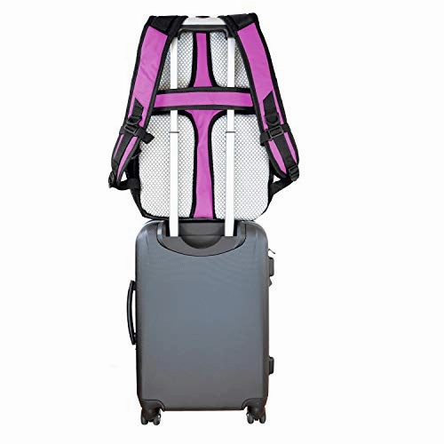 Denco University of Florida Gators Laptop Backpack- Fits Most 17 Inch Laptops and Tablets - Ideal for Work, Travel, School, College, and Commuting