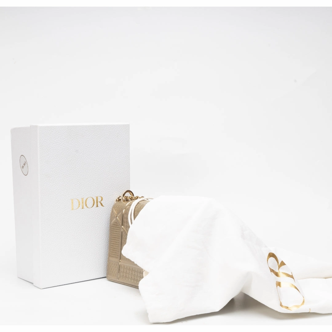 Dior Diorama Metallic Medium Crossbody Bag
