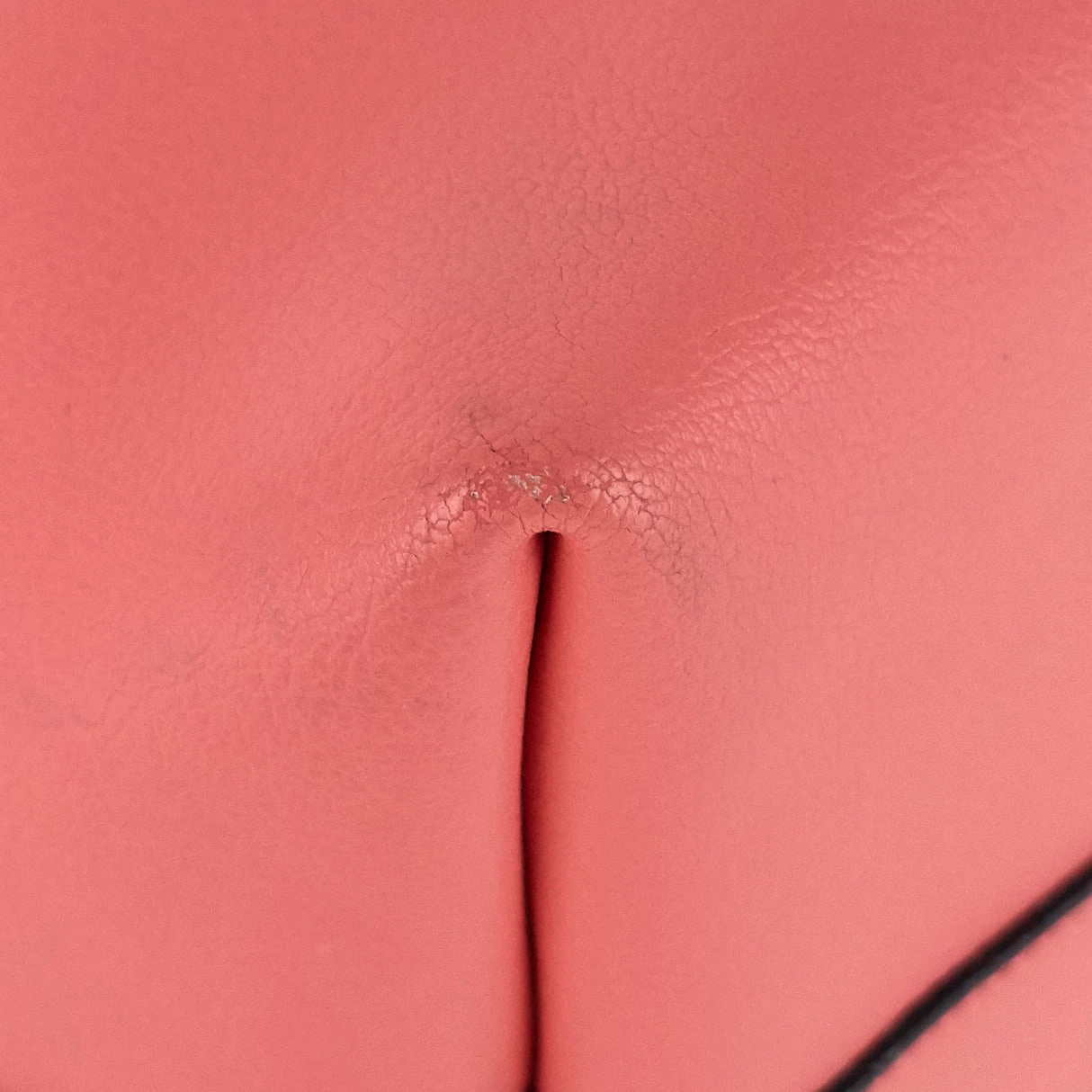 East West Supple Calfskin Shopping Bag