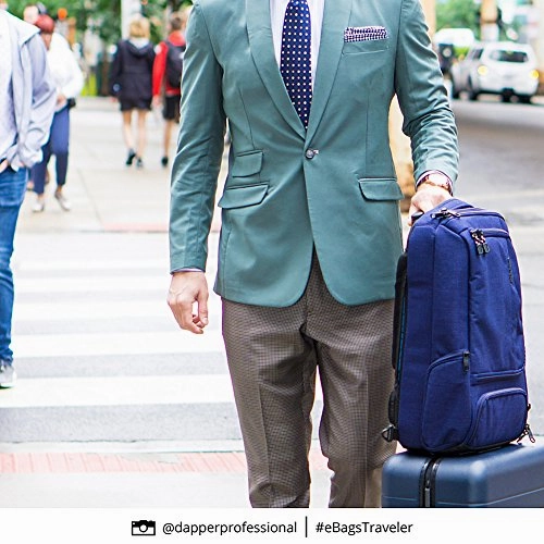 eBags Professional Slim Laptop Backpack for Travel, School & Business - Fits 17" Laptop - Anti-Theft - (Brushed Indigo)