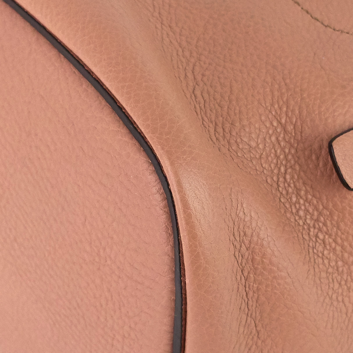 Faye Calfskin and Suede Backpack Bag