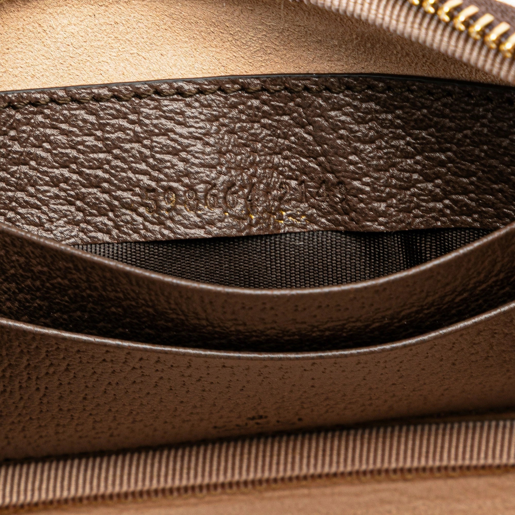GG Supreme Ophidia Crossbody