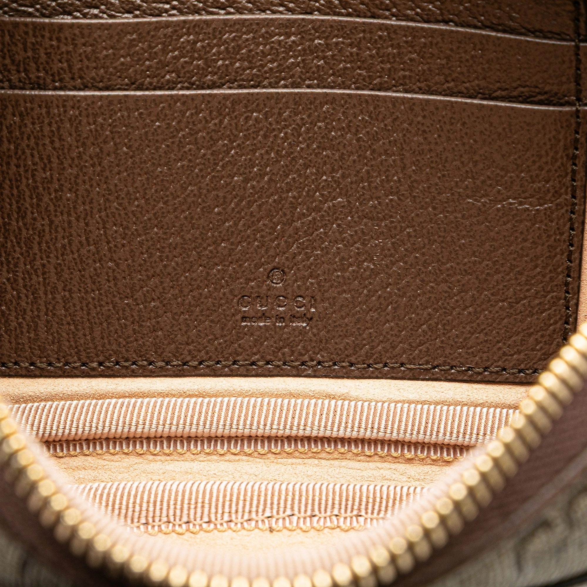 GG Supreme Ophidia Crossbody