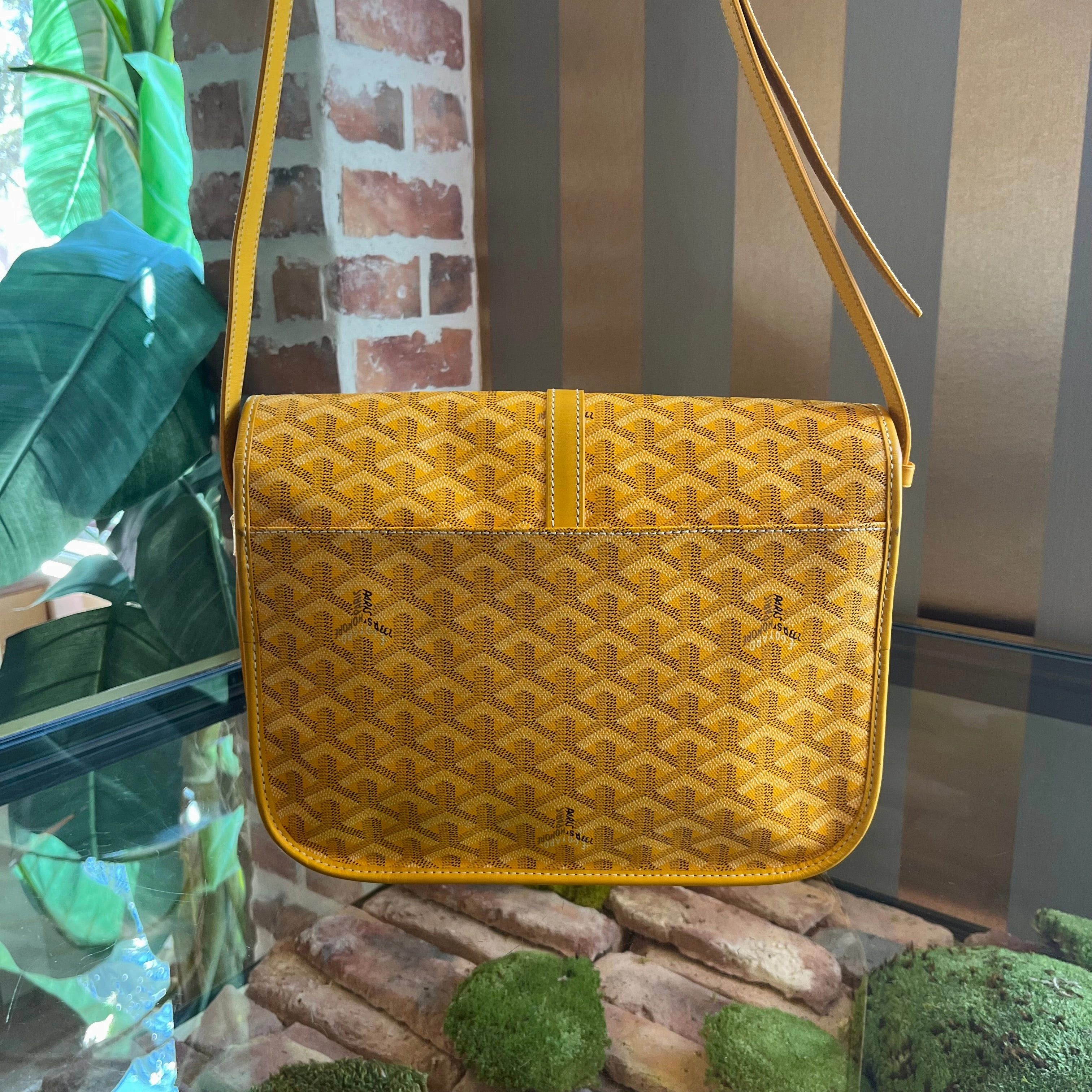 GOYARD Yellow Belvedere II TS3919