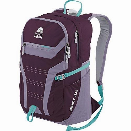 Granite Gear Champ Laptop Backpack (Gooseberry/lilac/Stratos)