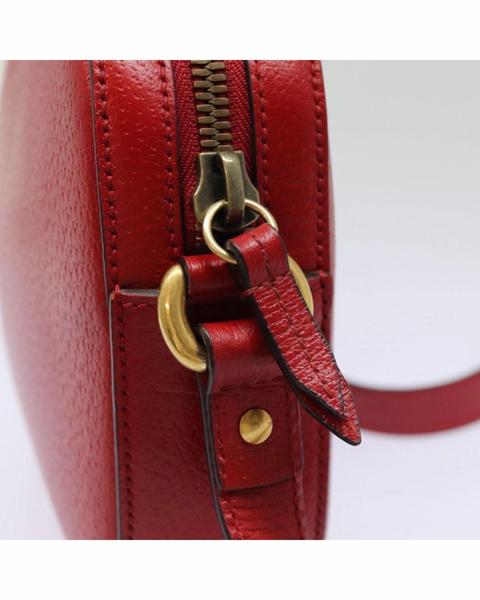 Gucci Tiger Head Crossbody Bag 602916