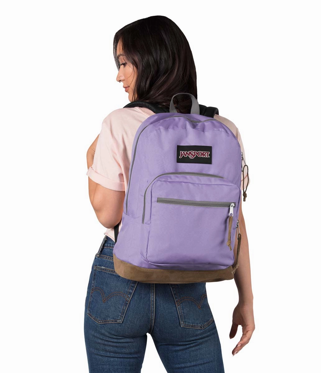 JanSport Digital Carry Right Pack Digital Edition
