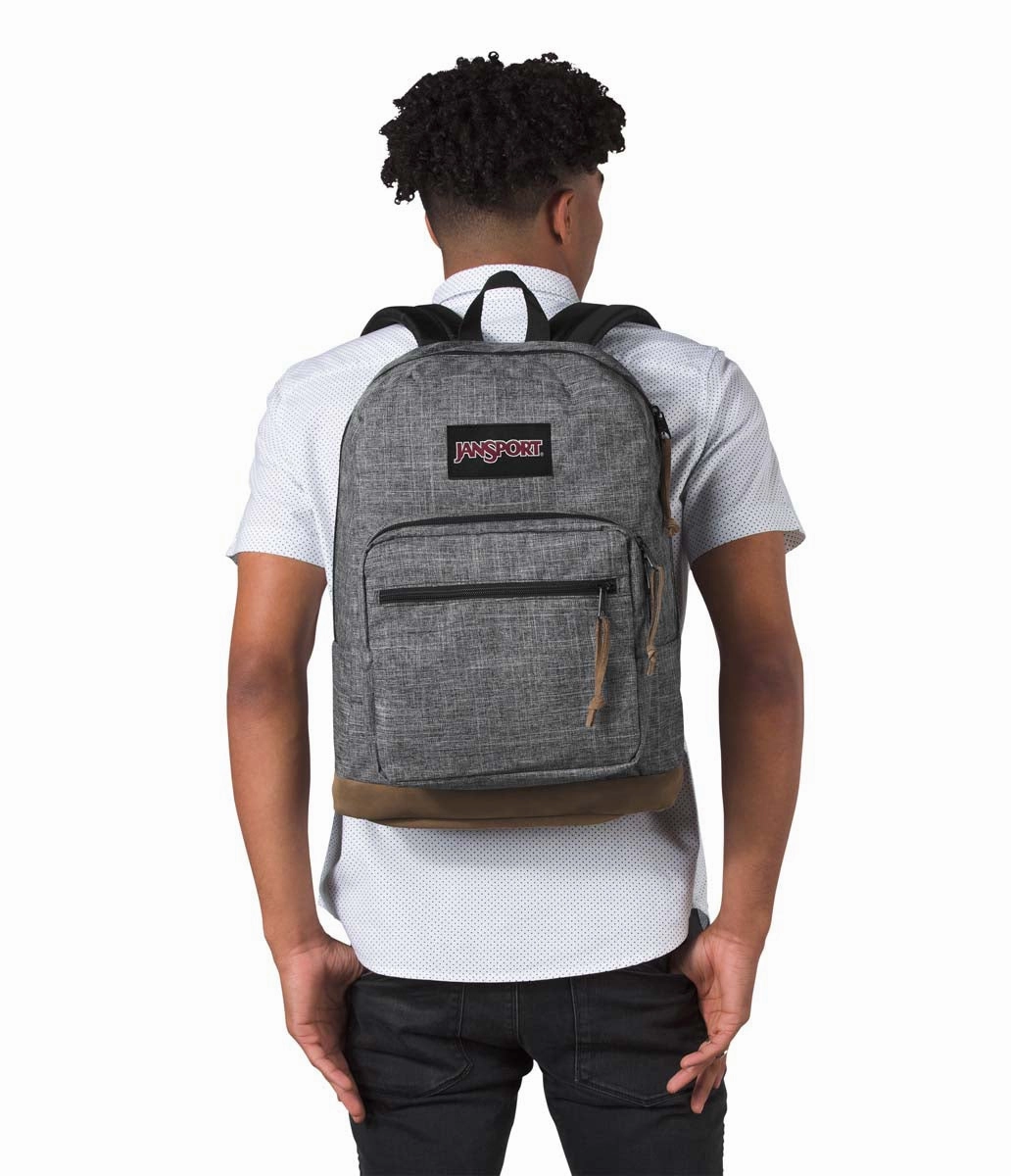 JanSport Digital Carry Right Pack Digital Edition