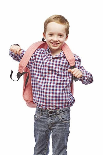 Kathari Alpha Antimicrobial Backpack (Rose Red), Travel Laptop Backpack, Padded Laptop And Tablet Sleeves School College Bag