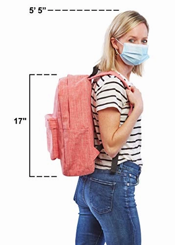 Kathari Alpha Antimicrobial Backpack (Rose Red), Travel Laptop Backpack, Padded Laptop And Tablet Sleeves School College Bag