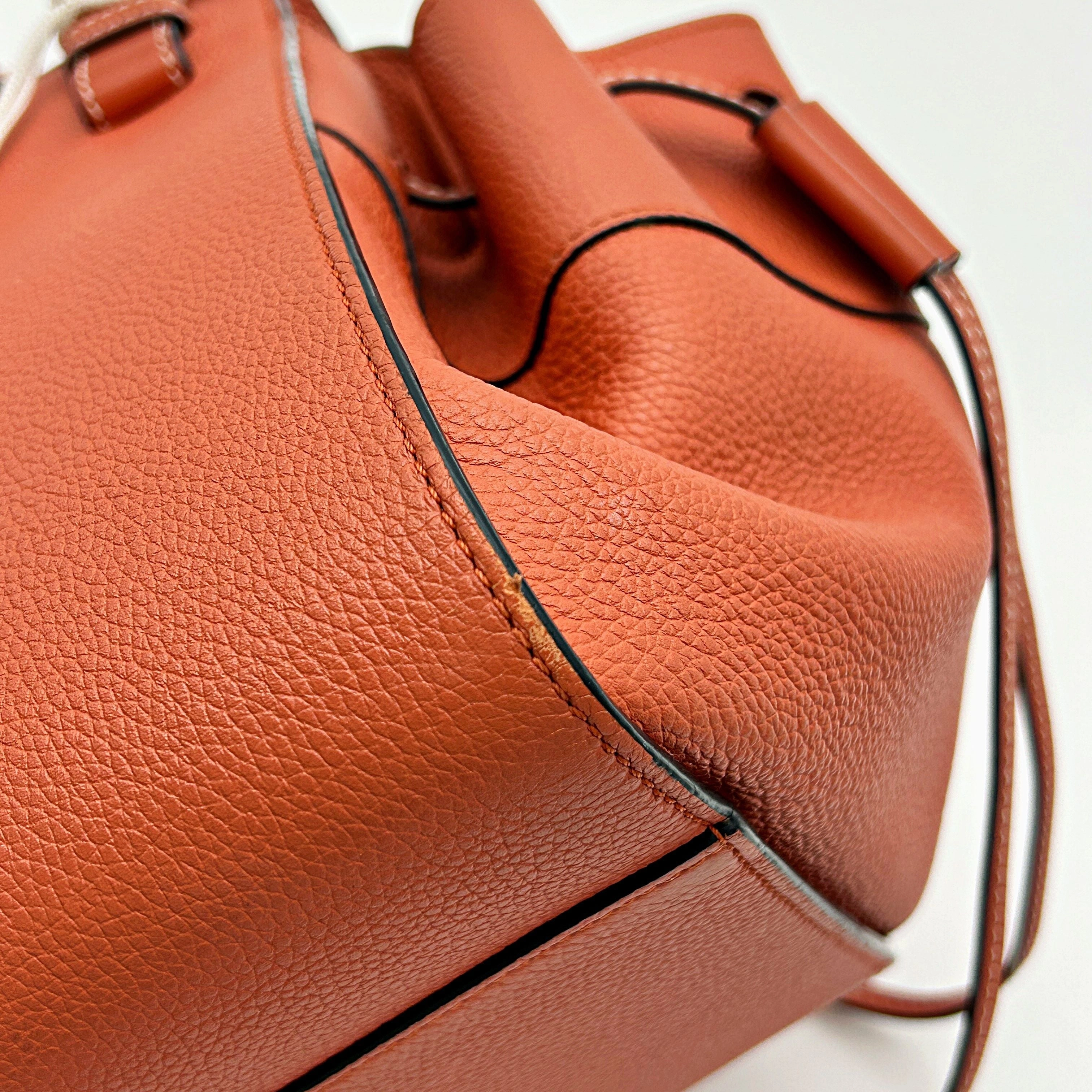 LOEWE Calfskin Mini Hammock Shoulder Bag Coral LA34847