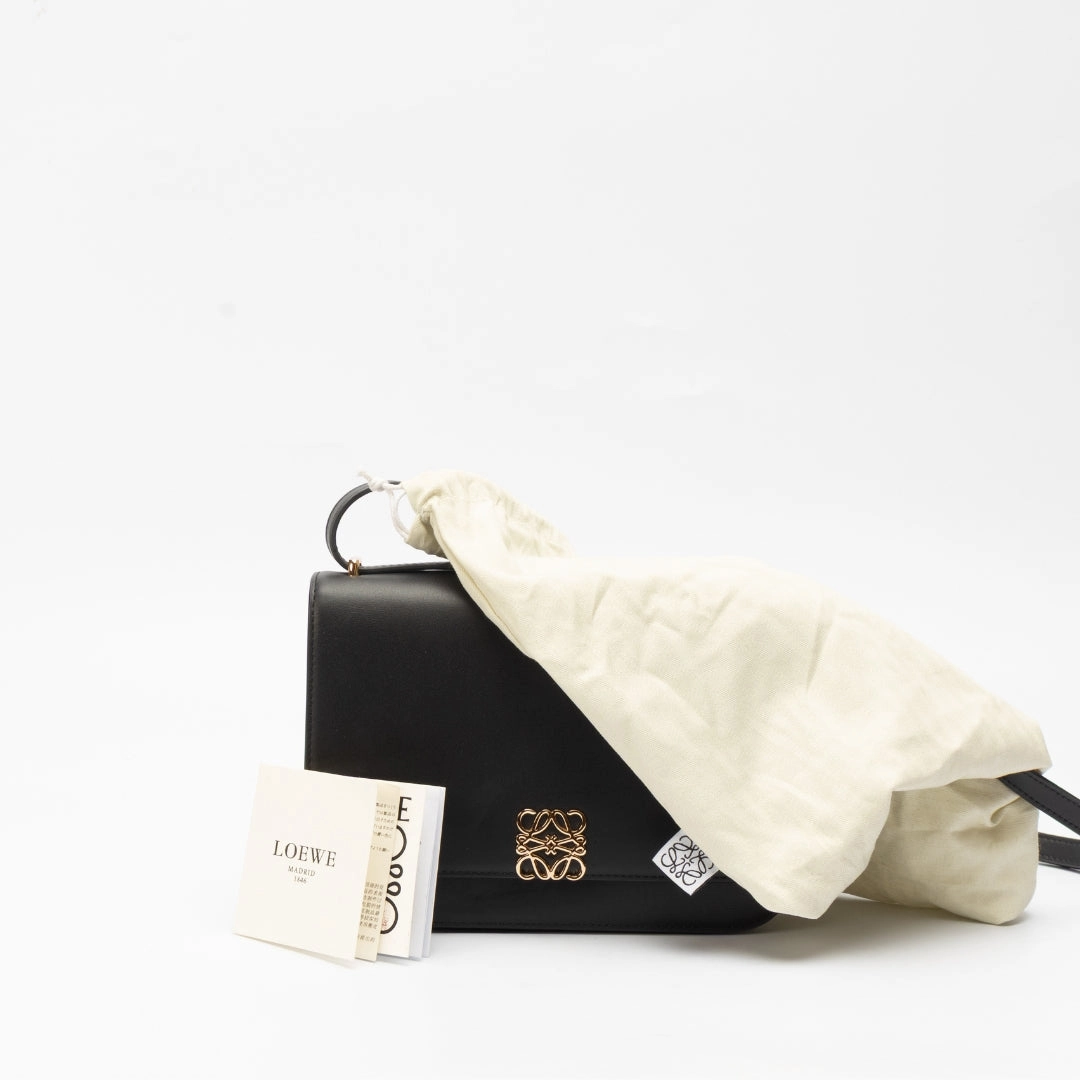 Loewe Goya Leather Crossbody Bag