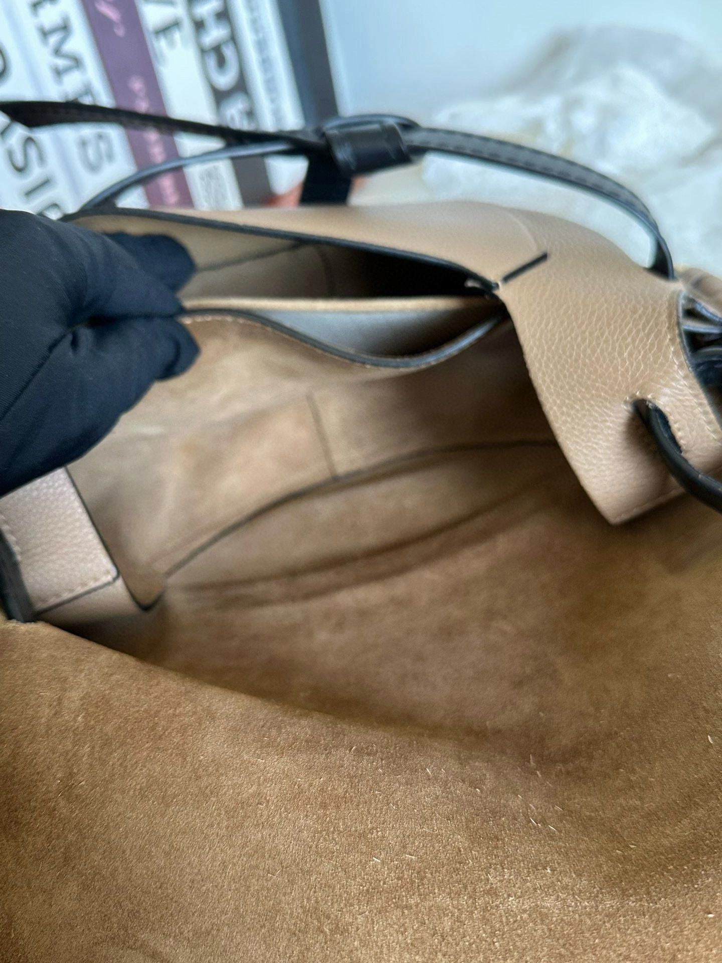 LOEWE Grained Calfskin Small Gate Crossbody Bag #1AEE