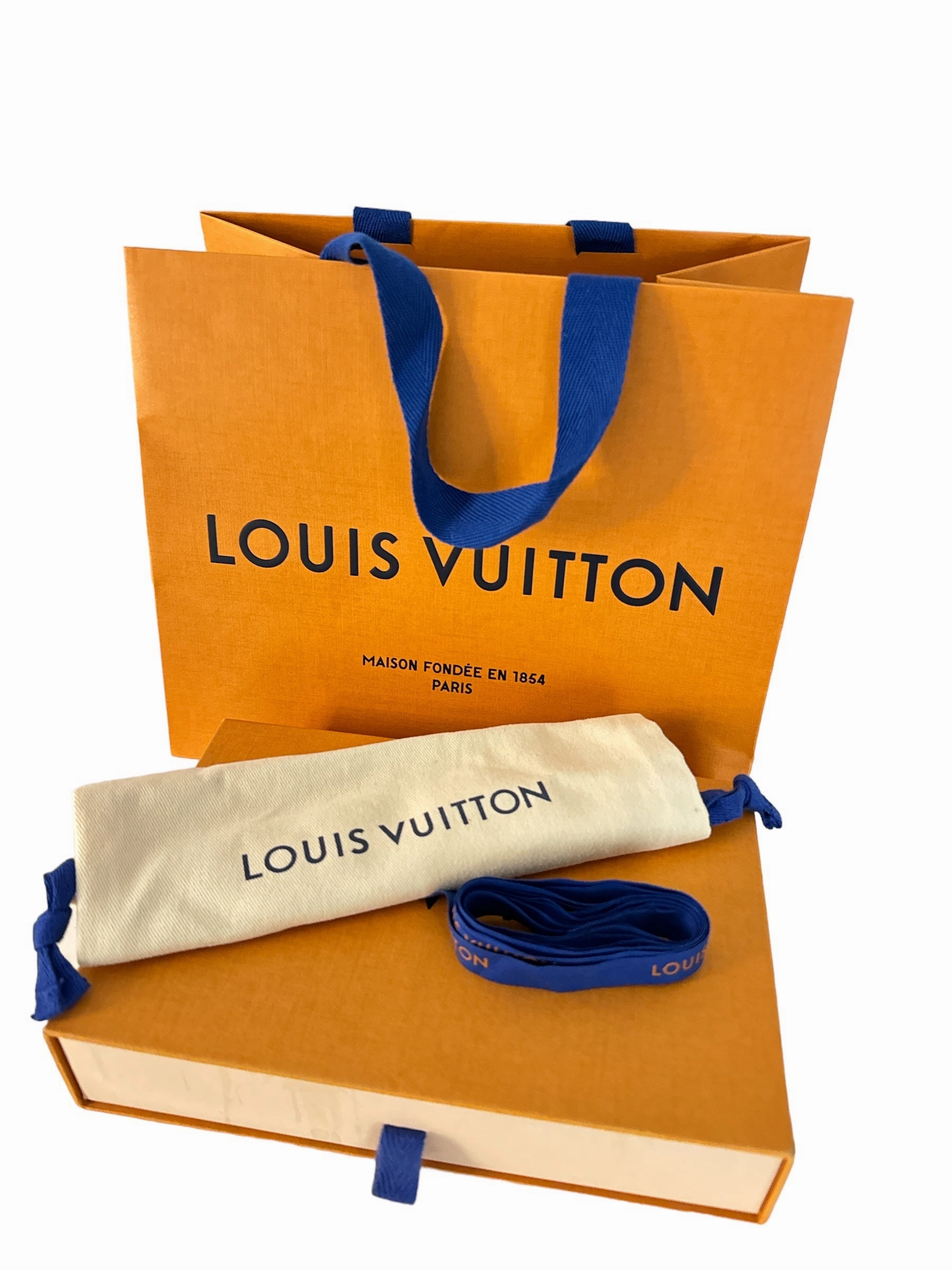 Louis Vuitton Adjustable Shoulder Strap 16 mm VVN