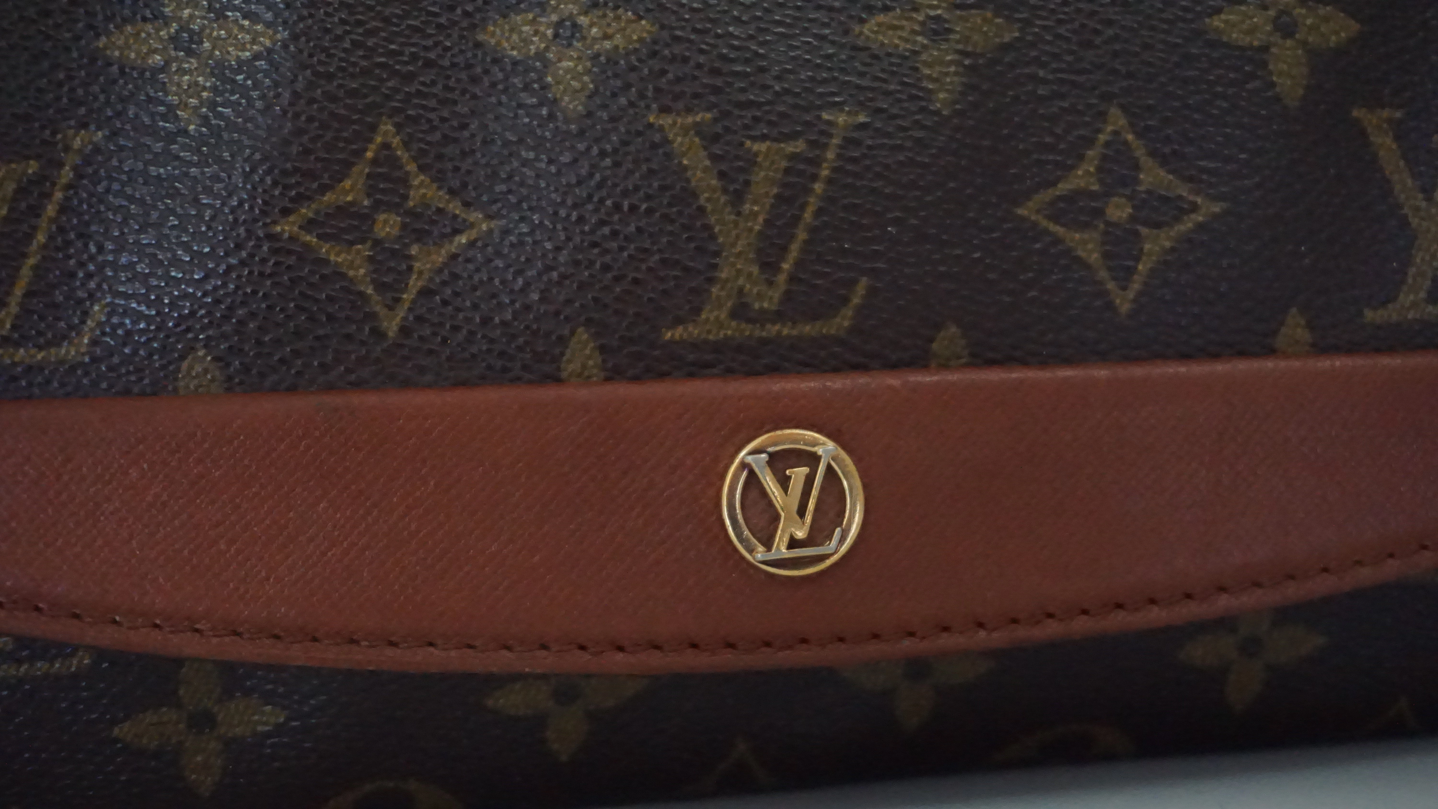 Louis Vuitton Bordeaux Crossbody