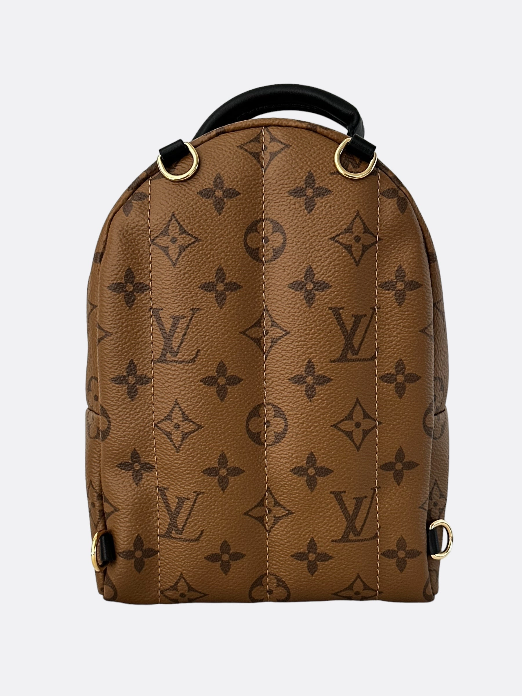 Louis Vuitton Brown Reverse Monogram Palm Springs Mini