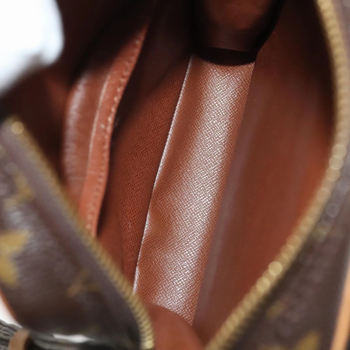 LOUIS VUITTON Monogram Amazon Shoulder Bag M45236 LV am7362