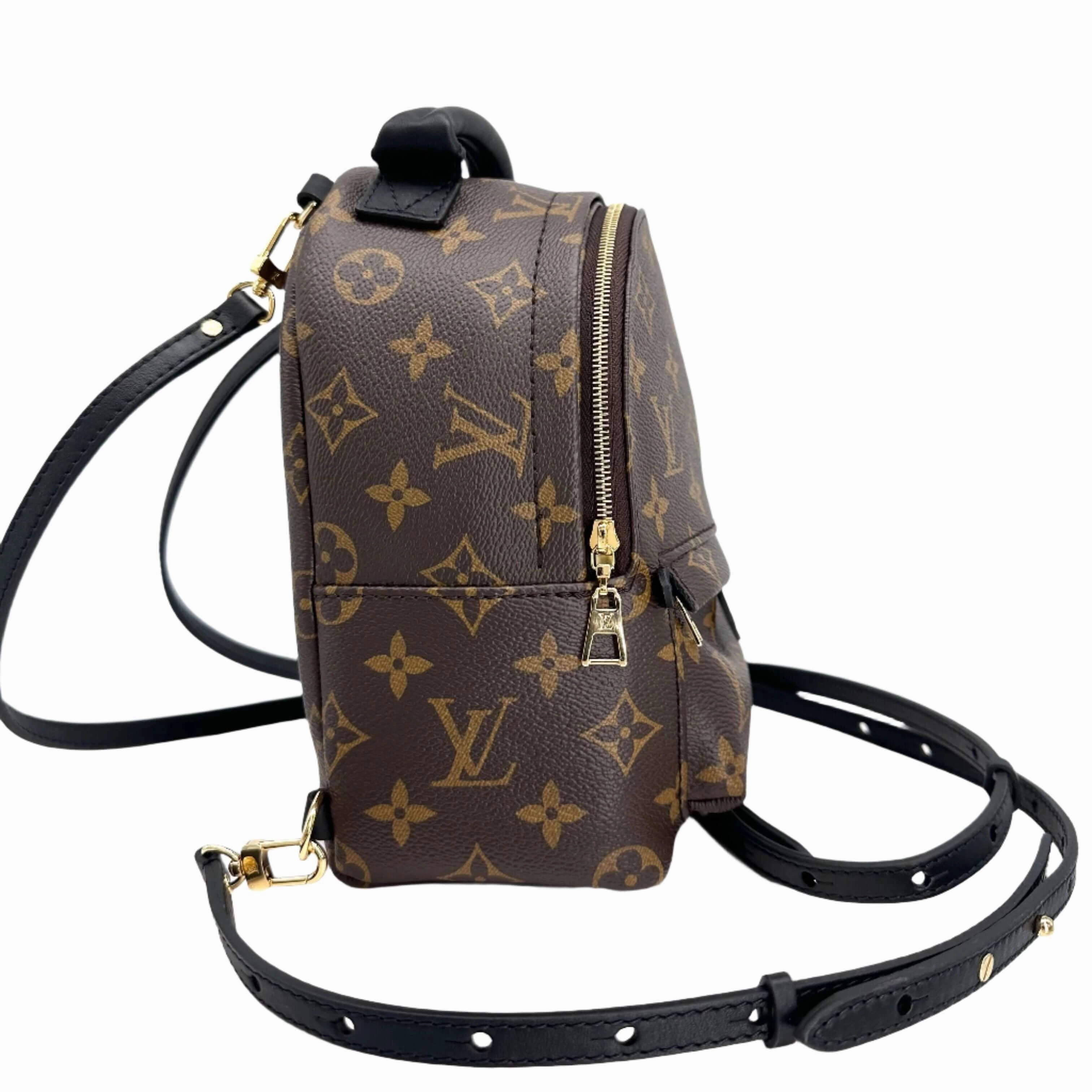 LOUIS VUITTON Monogram Palm Springs Backpack Mini