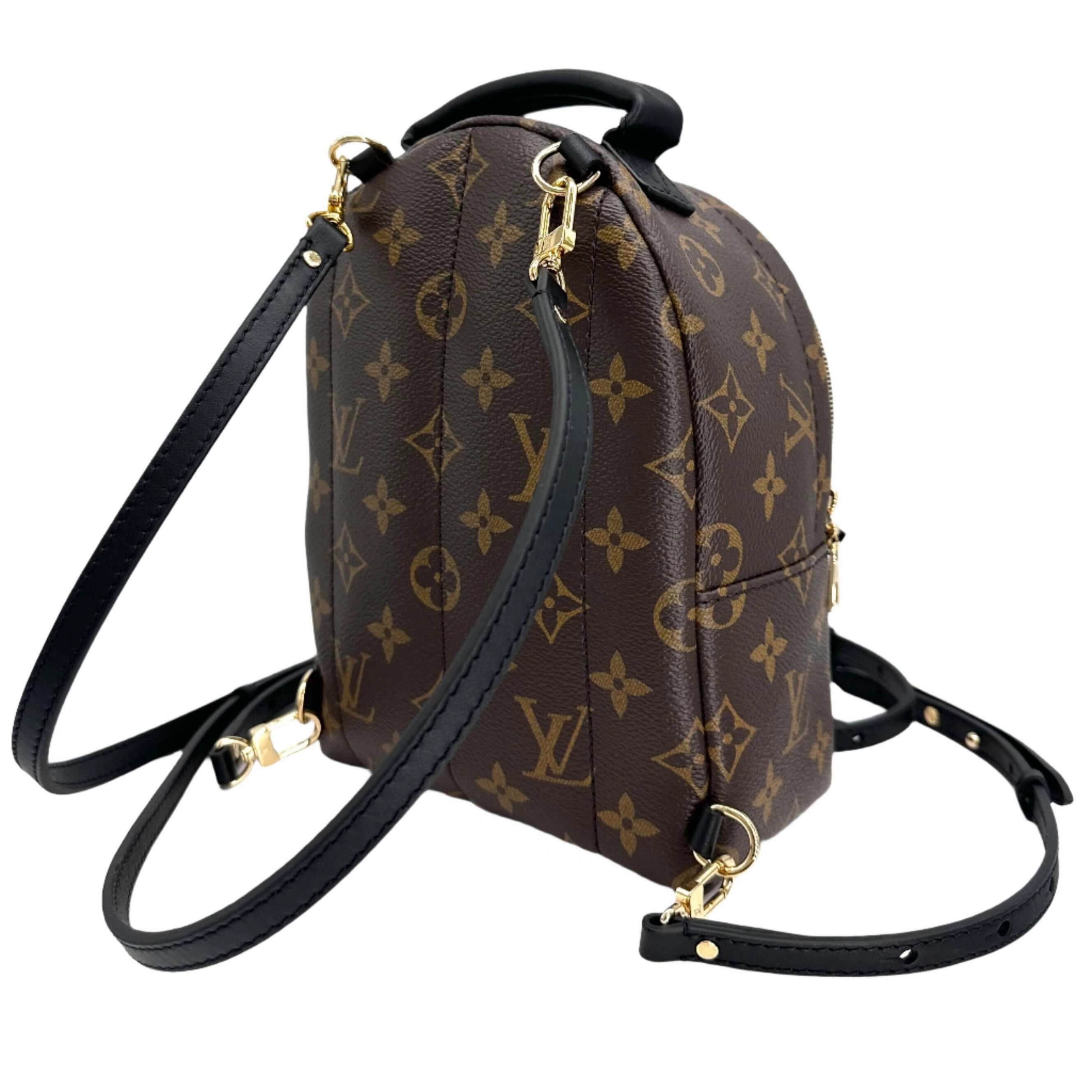 LOUIS VUITTON Monogram Palm Springs Backpack Mini