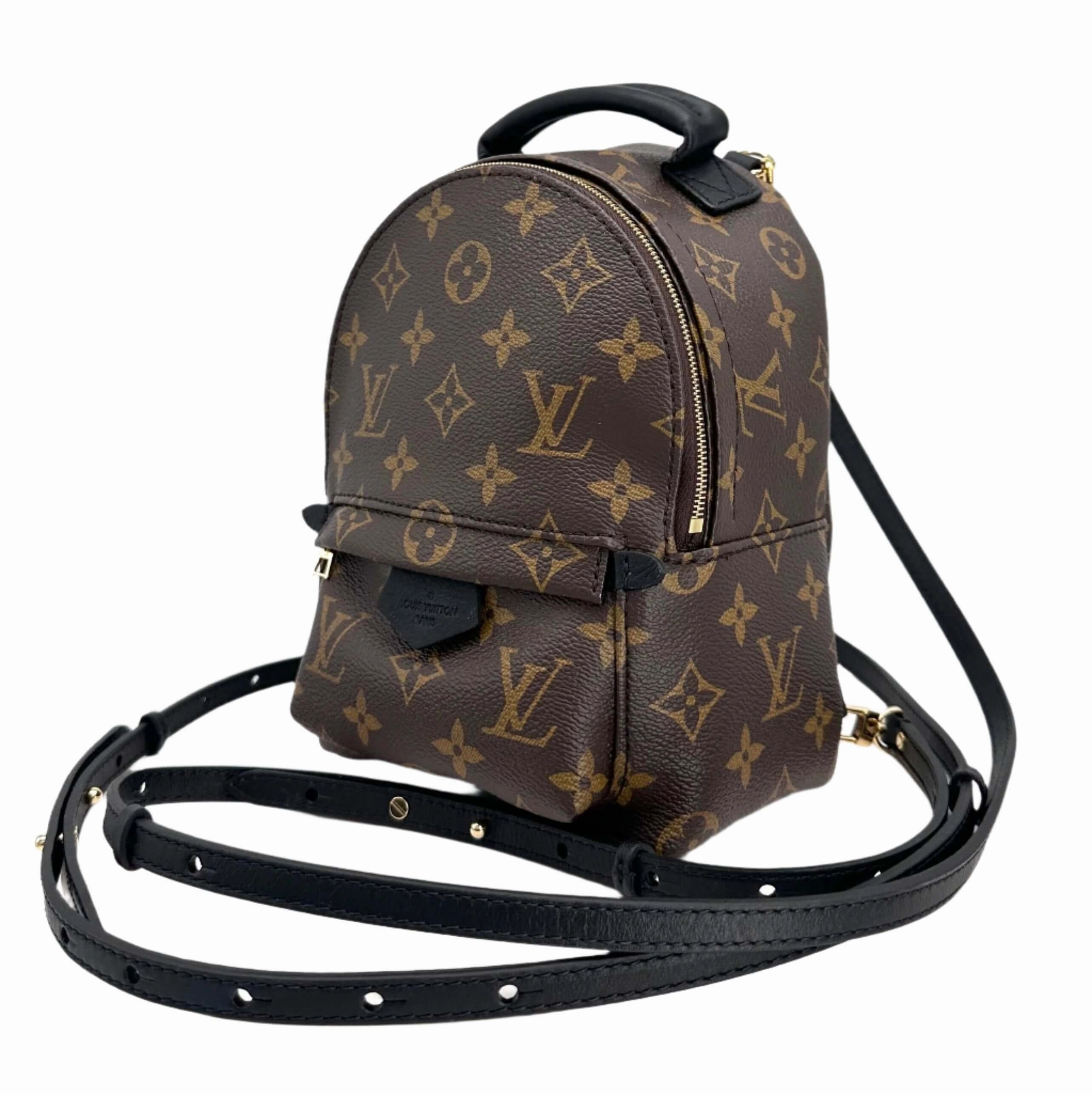 LOUIS VUITTON Monogram Palm Springs Backpack Mini