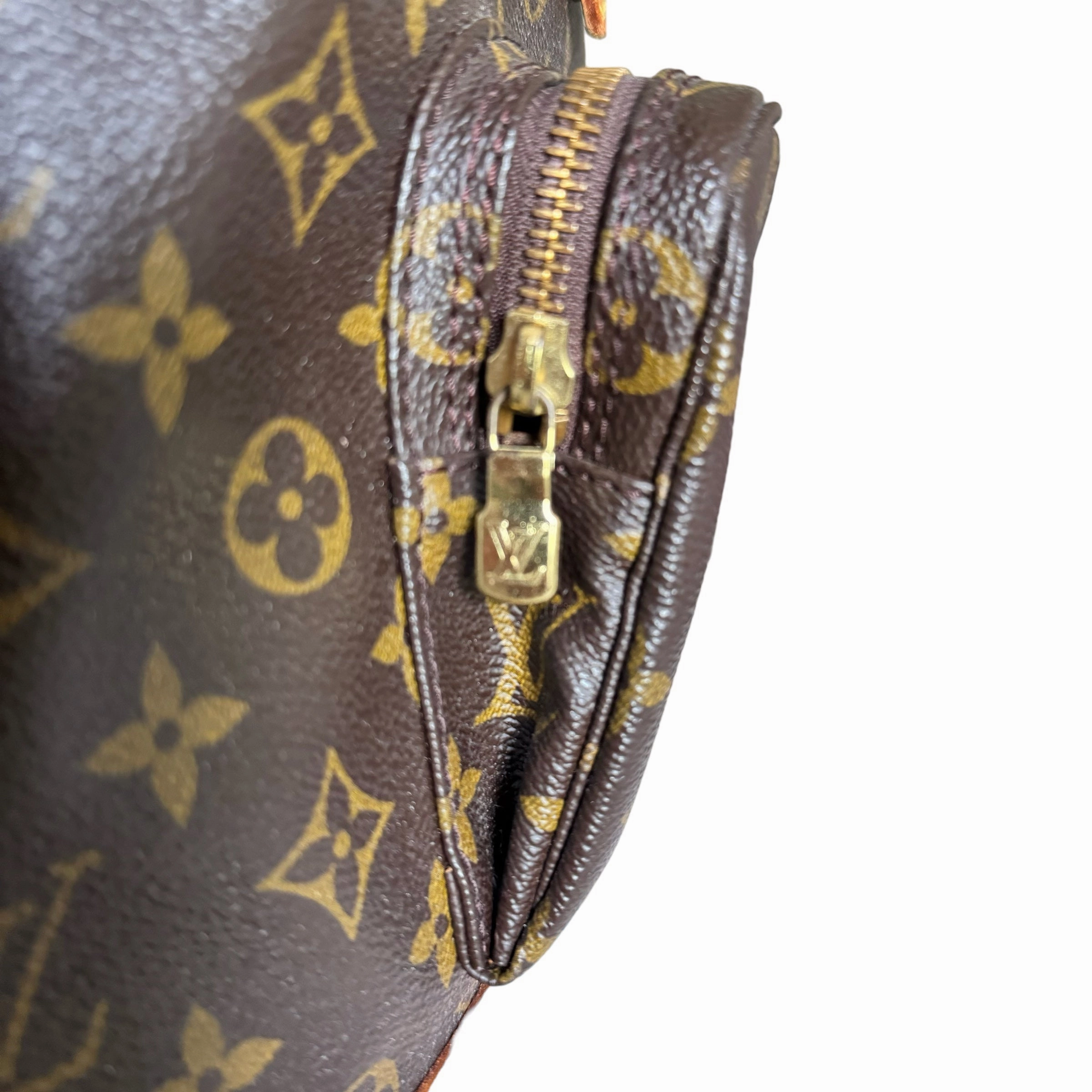 Louis Vuitton Montsouris GM Backpack