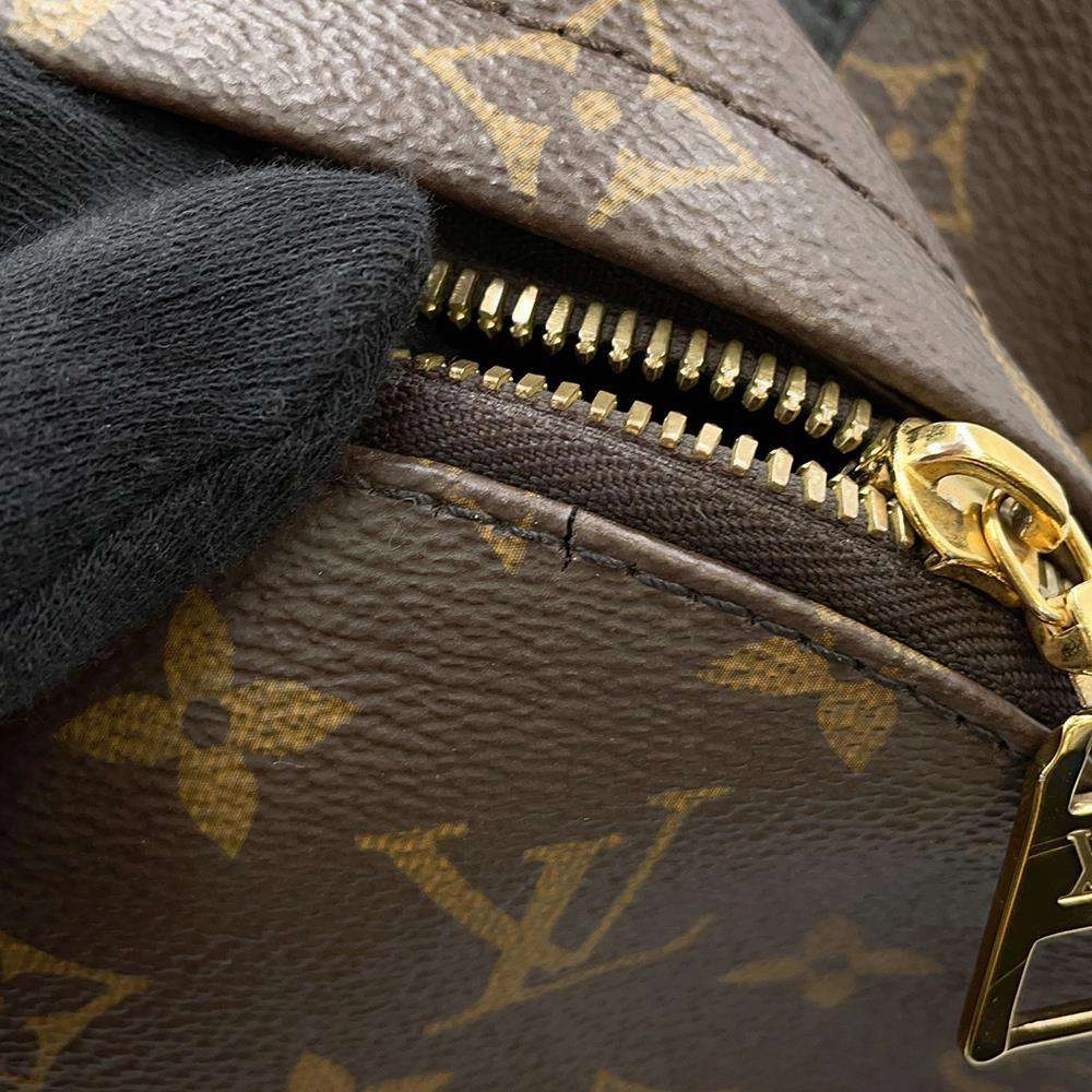 LOUIS VUITTON Palm Springs Backpack Noir M44871 Monogram Size PM