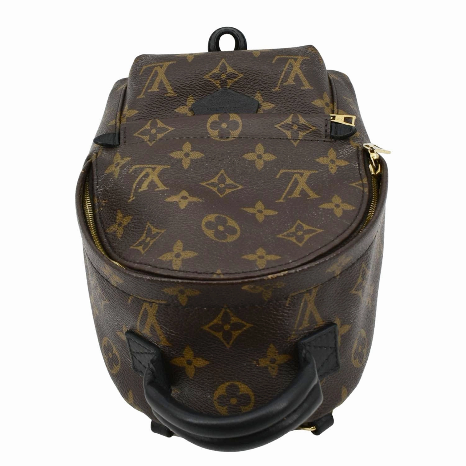 LOUIS VUITTON Palm Springs Mini Monogram Canvas Backpack Brown