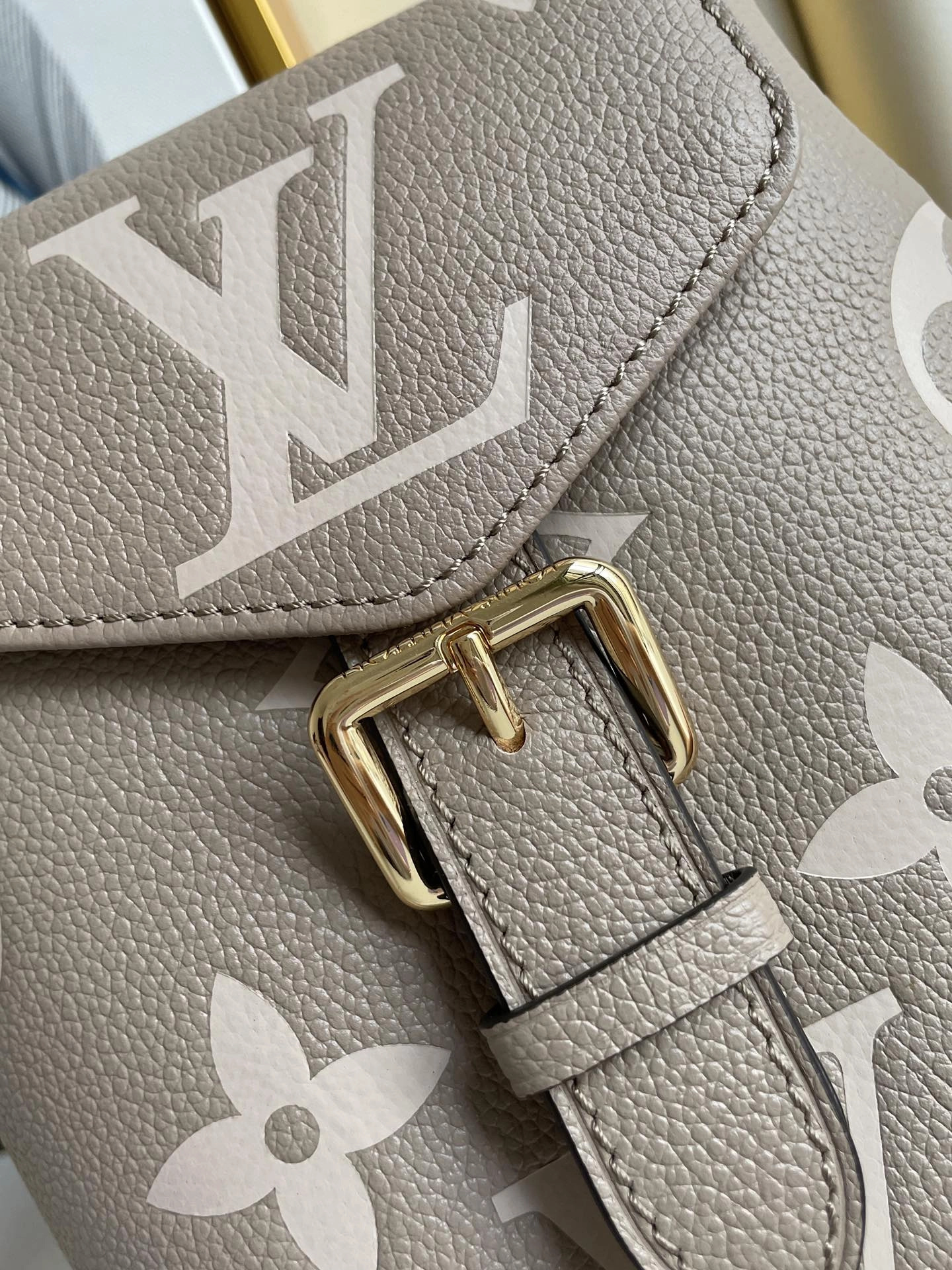 Louis Vuitton Tiny Backpack